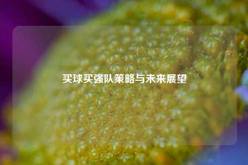 买球买强队策略与未来展望