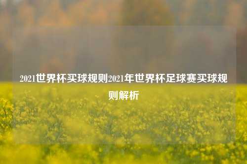 2021世界杯买球规则2021年世界杯足球赛买球规则解析