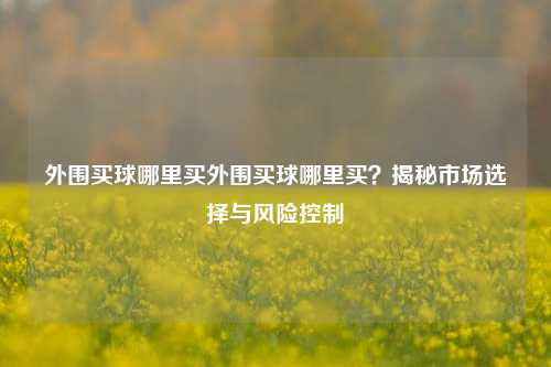 外围买球哪里买外围买球哪里买？揭秘市场选择与风险控制
