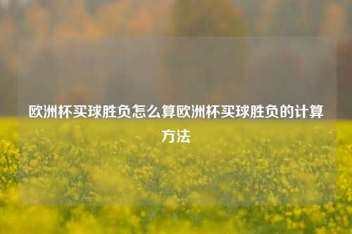 欧洲杯买球胜负怎么算欧洲杯买球胜负的计算方法
