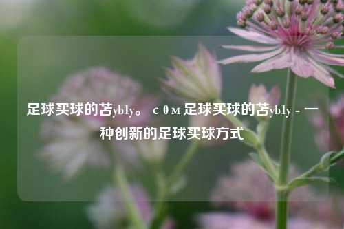 足球买球的苫yb1y。с0м足球买球的苫yb1y - 一种创新的足球买球方式