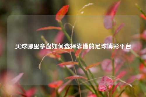 买球哪里拿盘如何选择靠谱的足球博彩平台