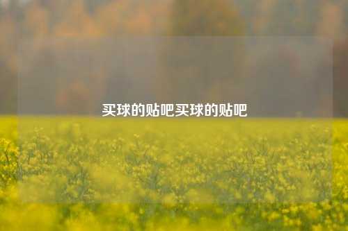 买球的贴吧买球的贴吧