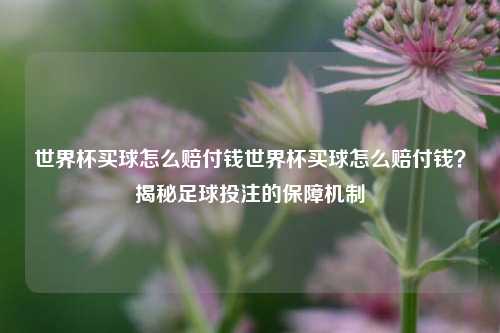 世界杯买球怎么赔付钱世界杯买球怎么赔付钱？揭秘足球投注的保障机制
