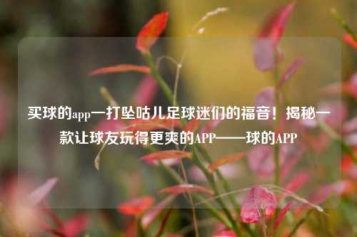 买球的app一打坠咕儿足球迷们的福音！揭秘一款让球友玩得更爽的APP——球的APP