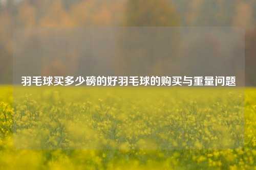 羽毛球买多少磅的好羽毛球的购买与重量问题