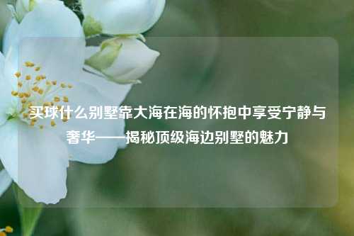 买球什么别墅靠大海在海的怀抱中享受宁静与奢华——揭秘顶级海边别墅的魅力