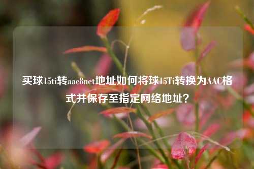 买球15ti转aac8net地址如何将球15Ti转换为AAC格式并保存至指定网络地址？