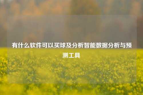 有什么软件可以买球及分析智能数据分析与预测工具