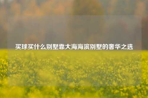 买球买什么别墅靠大海海滨别墅的奢华之选