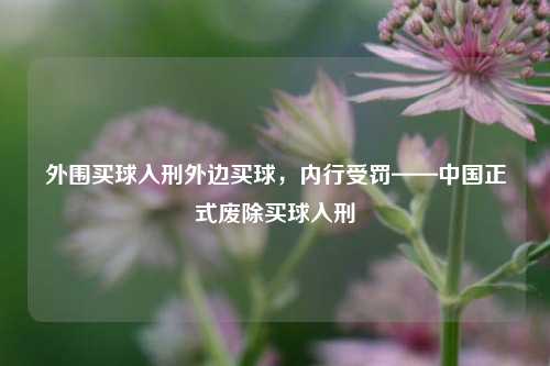 外围买球入刑外边买球，内行受罚——中国正式废除买球入刑