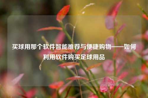 买球用那个软件智能推荐与便捷购物——如何利用软件购买足球用品