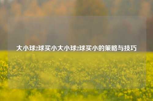 大小球2球买小大小球2球买小的策略与技巧