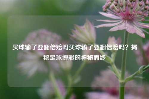 买球输了要翻倍赔吗买球输了要翻倍赔吗？揭秘足球博彩的神秘面纱