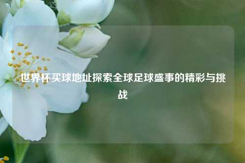 世界杯买球地址探索全球足球盛事的精彩与挑战