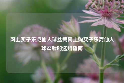 网上买子乐湾仙人球盆栽网上购买子乐湾仙人球盆栽的选购指南