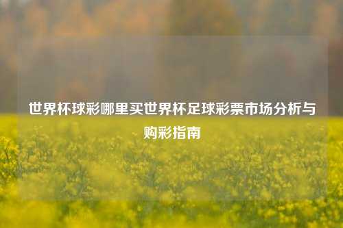 世界杯球彩哪里买世界杯足球彩票市场分析与购彩指南