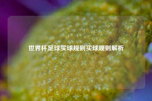 世界杯足球买球规则买球规则解析