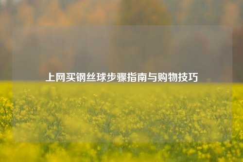 上网买钢丝球步骤指南与购物技巧