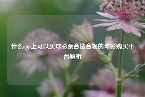 什么app上可以买球彩票合法合规的球彩购买平台解析