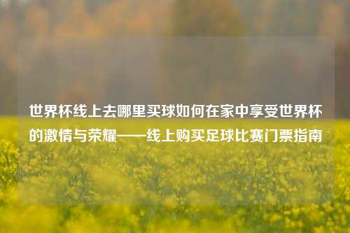 世界杯线上去哪里买球如何在家中享受世界杯的激情与荣耀——线上购买足球比赛门票指南