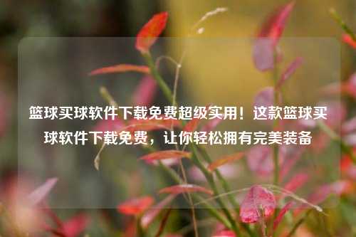 篮球买球软件下载免费超级实用！这款篮球买球软件下载免费，让你轻松拥有完美装备
