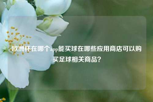 欧洲杯在哪个app能买球在哪些应用商店可以购买足球相关商品？