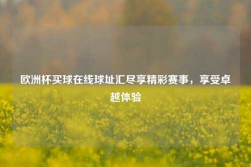 欧洲杯买球在线球址汇尽享精彩赛事，享受卓越体验
