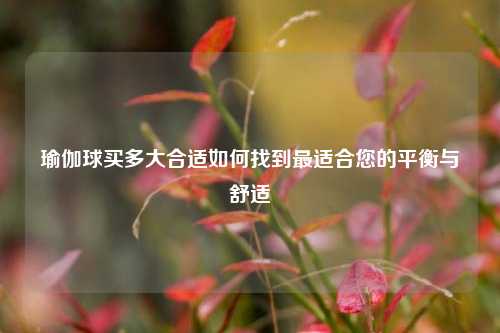 瑜伽球买多大合适如何找到最适合您的平衡与舒适