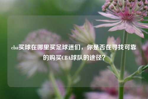 cba买球在哪里买足球迷们，你是否在寻找可靠的购买CBA球队的途径？