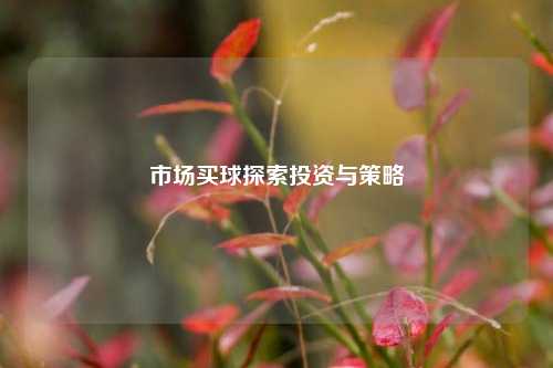 市场买球探索投资与策略