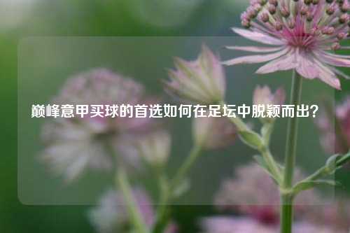巅峰意甲买球的首选如何在足坛中脱颖而出？