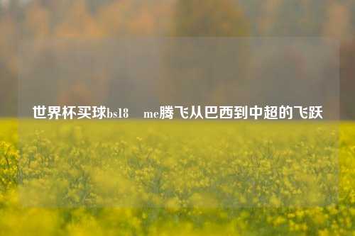 世界杯买球bs18婰me腾飞从巴西到中超的飞跃
