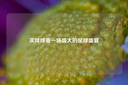 买球球赛一场盛大的足球盛宴