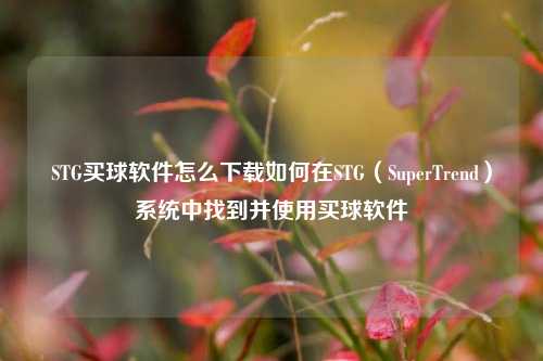 STG买球软件怎么下载如何在STG（SuperTrend）系统中找到并使用买球软件