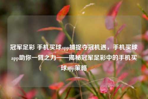 冠军足彩 手机买球app捕捉夺冠机遇，手机买球app助你一臂之力——揭秘冠军足彩中的手机买球app策略