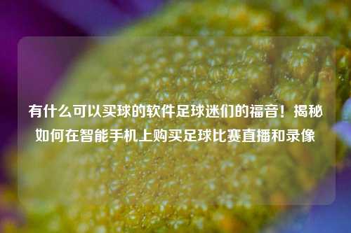 有什么可以买球的软件足球迷们的福音！揭秘如何在智能手机上购买足球比赛直播和录像