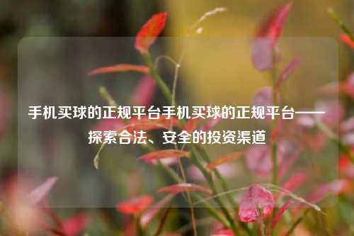 手机买球的正规平台手机买球的正规平台——探索合法、安全的投资渠道
