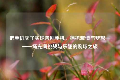 把手机卖了买球告别手机，拥抱激情与梦想——一场充满挑战与乐趣的购球之旅