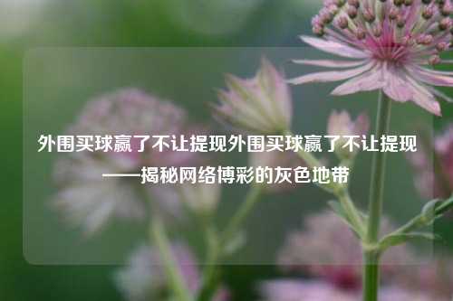 外围买球赢了不让提现外围买球赢了不让提现——揭秘网络博彩的灰色地带