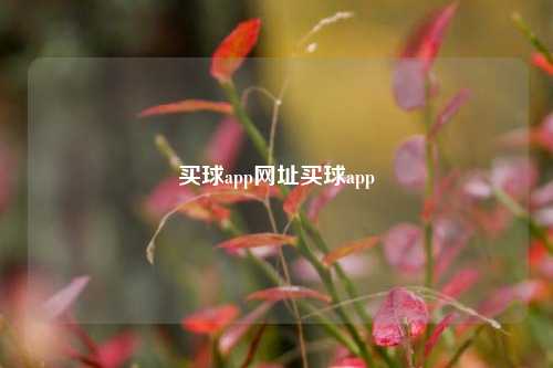 买球app网址买球app