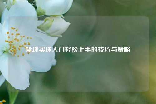 篮球买球入门轻松上手的技巧与策略