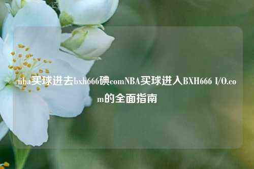 nba买球进去bxh666碘comNBA买球进入BXH666 I/O.com的全面指南
