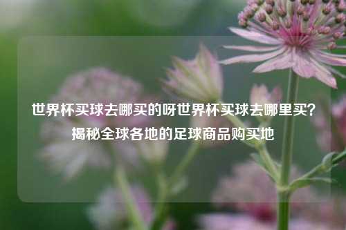 世界杯买球去哪买的呀世界杯买球去哪里买？揭秘全球各地的足球商品购买地