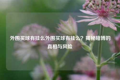 外围买球有挂么外围买球有挂么？揭秘赌博的真相与风险