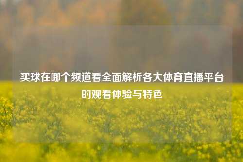 买球在哪个频道看全面解析各大体育直播平台的观看体验与特色