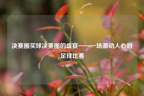 决赛圈买球决赛圈的盛宴——一场激动人心的足球比赛