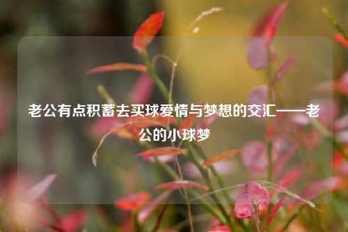 老公有点积蓄去买球爱情与梦想的交汇——老公的小球梦