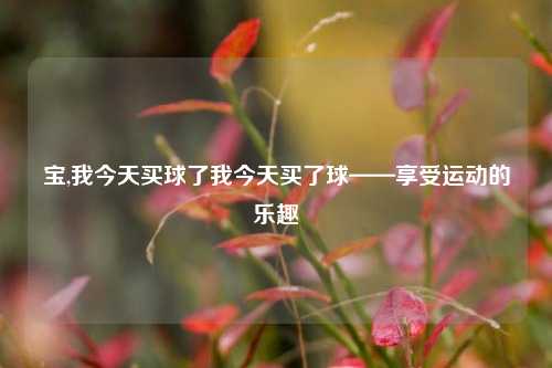 宝,我今天买球了我今天买了球——享受运动的乐趣