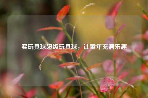 买玩具球超级玩具球，让童年充满乐趣